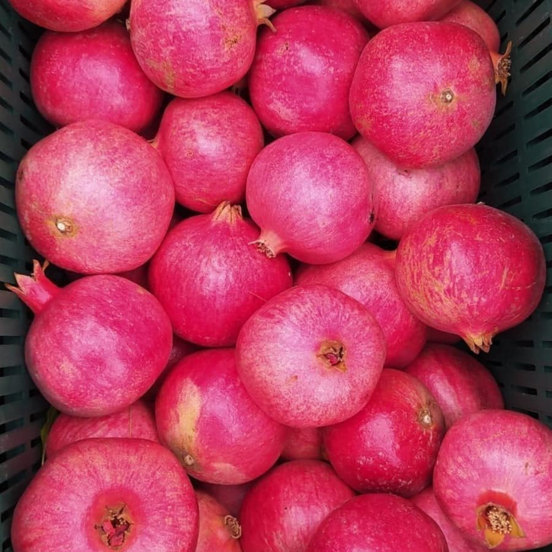 Pomegranate Molasses - 250 ml image 3